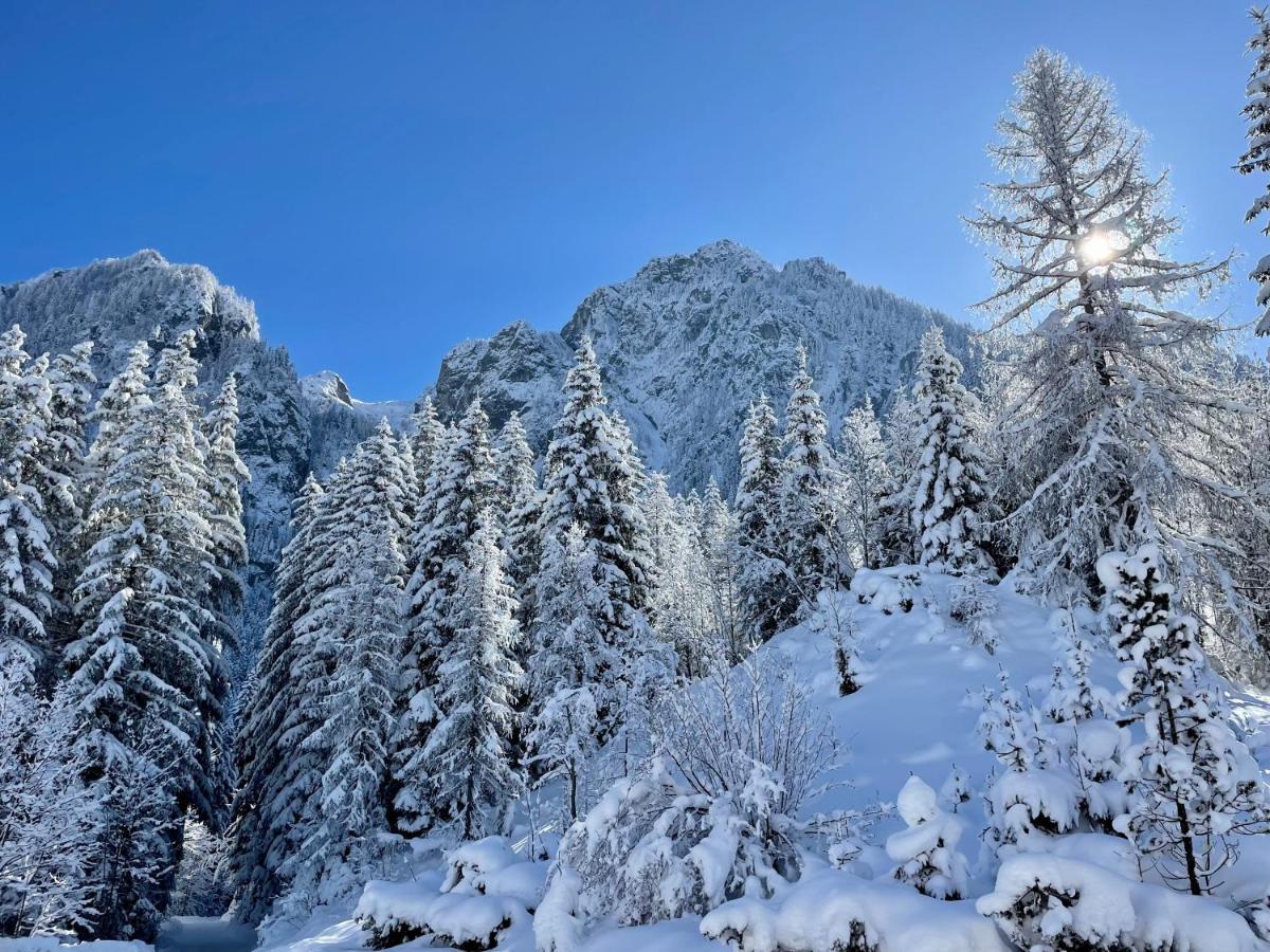Alpeltalhuette Lejlighed Schönau am Königssee Eksteriør billede